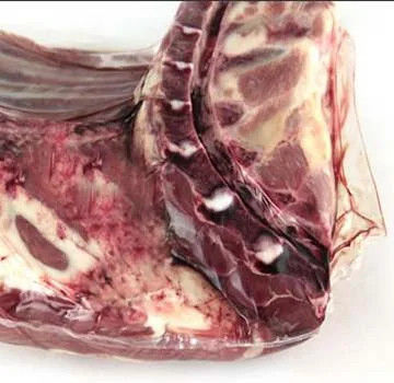 Sacos de embalagem de carne fresca a frio PA/PE filme de encolhimento PVDC filme de encolhimento e sacos