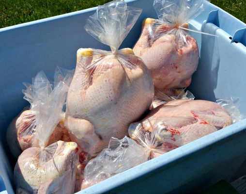 Sacos de embalagem de carne fresca a frio PA/PE filme de encolhimento PVDC filme de encolhimento e sacos